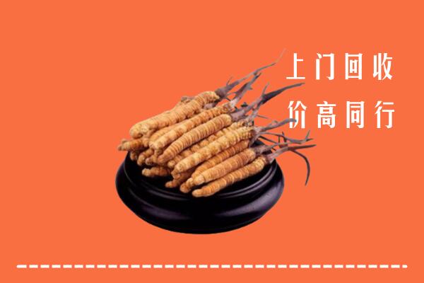 高价求购：赣州市回收散虫草