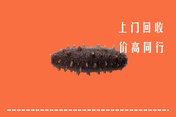 赣州市回收海参