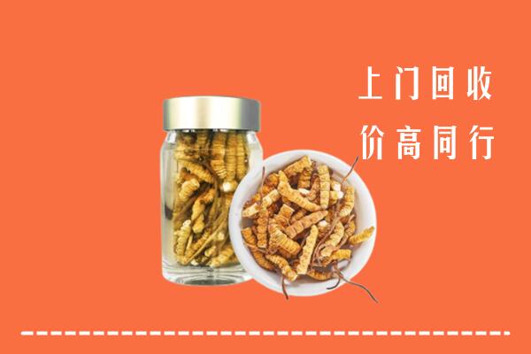赣州市回收冬虫夏草